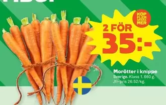Mer - Morötter i knippe