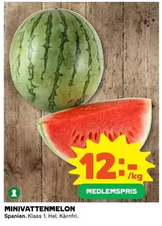 MINIVATTENMELON