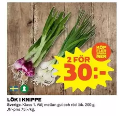 Mer - LÖK I KNIPPE