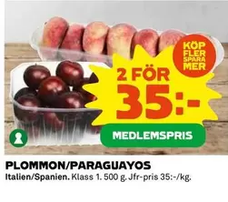 Mer - PLOMMON/PARAGUAYOS