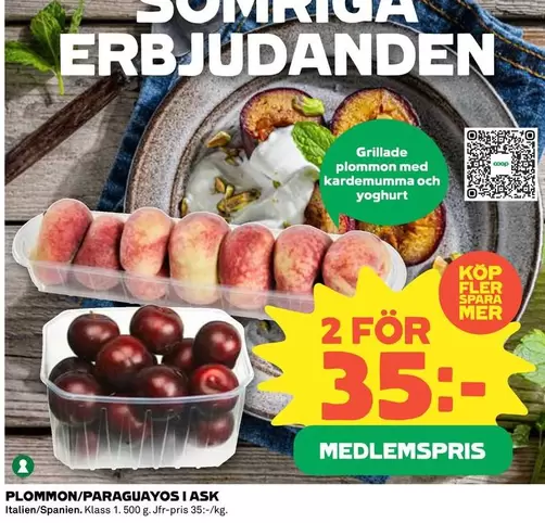 Coop - PLOMMON/PARAGUAYOSI ASK