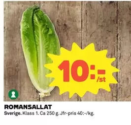 ROMANSALLAT