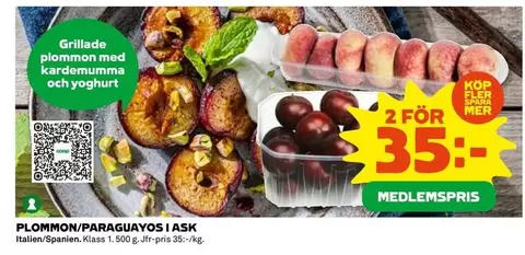 Mer - PLOMMON/PARAGUAYOS I ASK