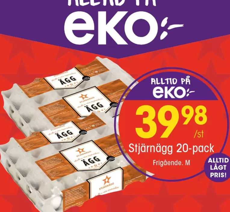 EKO - Stjärnägg 20-pack
