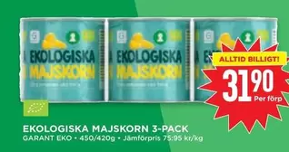 EKO - LOGISKA MAJSKORN