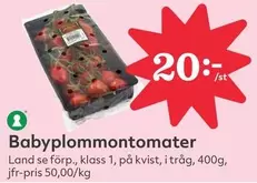 Babyplommontomater
