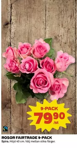 fairtrade - ROSOR FAIRTRADE 9-PACK