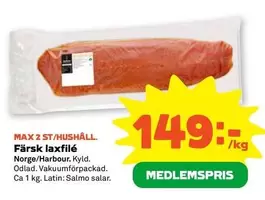 Färsk laxfilé