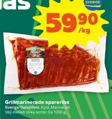 Grillmarinerade spareribs