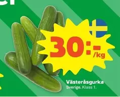 Västeråsgurka