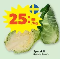Spetskål