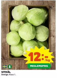 VITKÅL