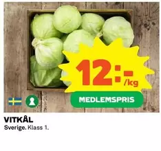 VITKÅL