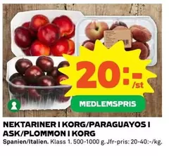 NEKTARINER I KORG/PARAGUAYOS I ASK/PLOMMONI KORG