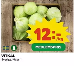 VITKÅL
