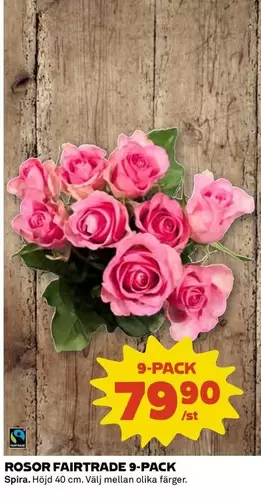 fairtrade - ROSOR FAIRTRADE 9-PACK