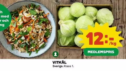 VITKÄL