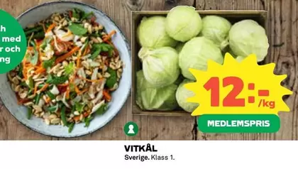 VITKÄL
