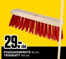 PIASSAVABORSTE
