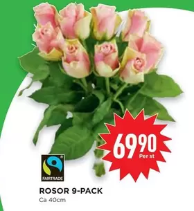 fairtrade - ROSOR 9-PACK