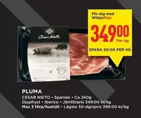 PLUMA
