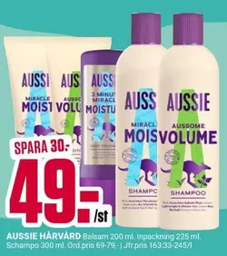 Aussie - HÅRVÅRD