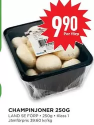 CHAMPINJONER