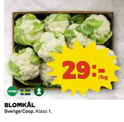 Coop - BLOMKÅL