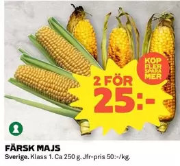 Mer - FÄRSK MAJS