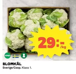 Coop - BLOMKÅL