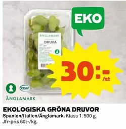 Änglamark - EKOLOGISKA GRÖNA DRUVOR