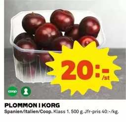 Coop - PLOMMON I KORG
