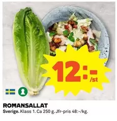 ROMANSALLAT