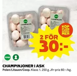 Coop - CHAMPINJONER I ASK