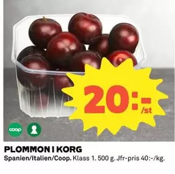Coop - PLOMMON I KORG