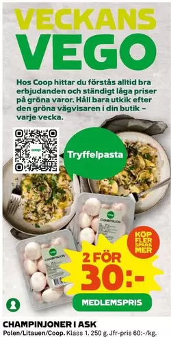 Coop - CHAMPINJONER I ASK