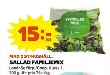 SALLAD FAMILJEMIX
