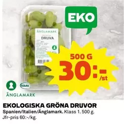 EKO - LOGISKA GRÖNA DRUVOR