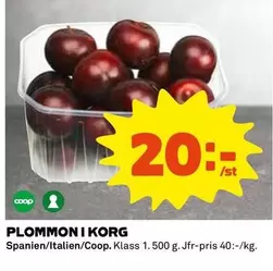 Coop - PLOMMON I KORG