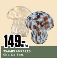 SVAMPLAMPA LED