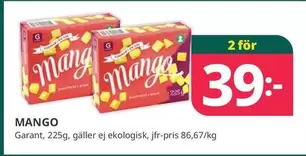Garant - MANGO