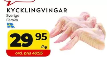 KYCKLINGVINGAR