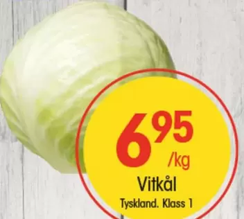 Vitkål