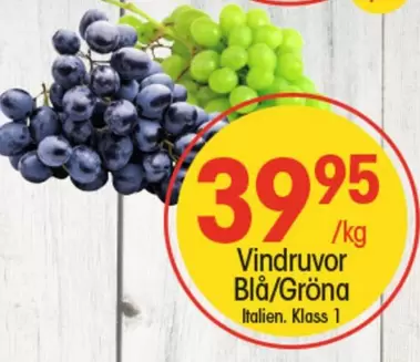 Vindruvor Blå/Gröna