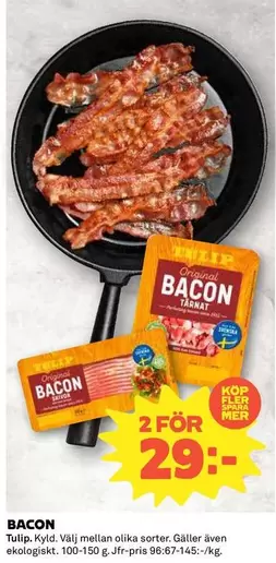 tulip - BACON