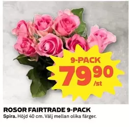 fairtrade - ROSOR FAIRTRADE 9-PACK