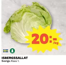 ISBERGSSALLAT