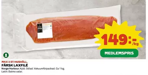 FÄRSK LAXFILE