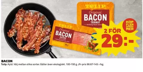 tulip - BACON