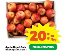 Äpple Royal Gala